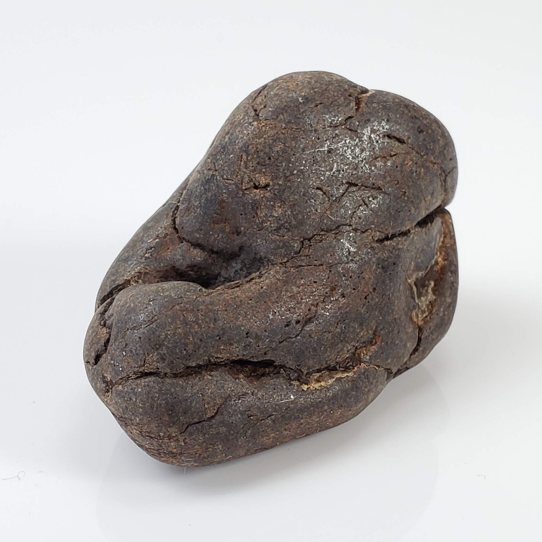  Northwest Africa NWA Meteorite | 45.5 Grams | Individual | Tumbled Meteorite | Sahara 4