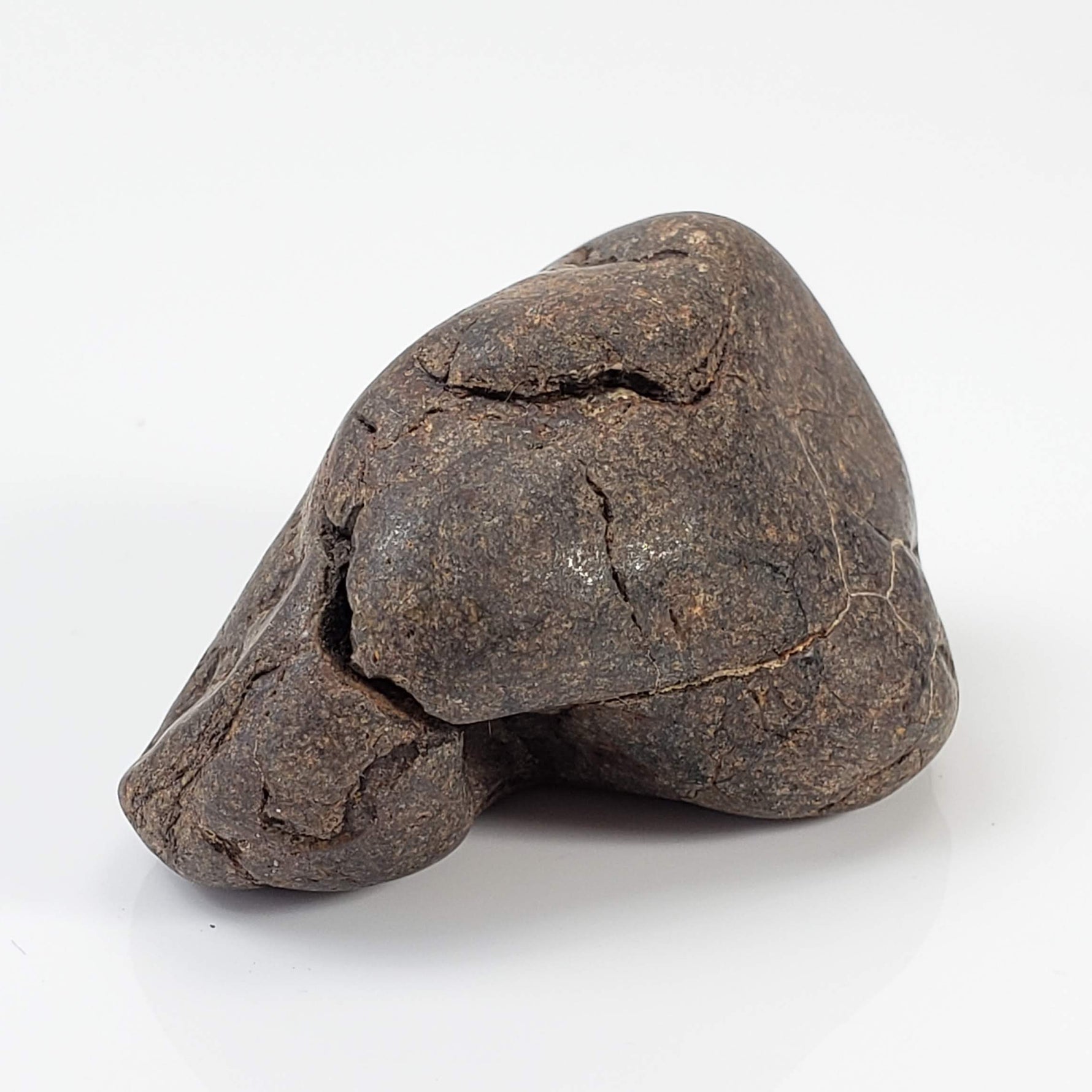  Northwest Africa NWA Meteorite | 45.5 Grams | Individual | Tumbled Meteorite | Sahara 5