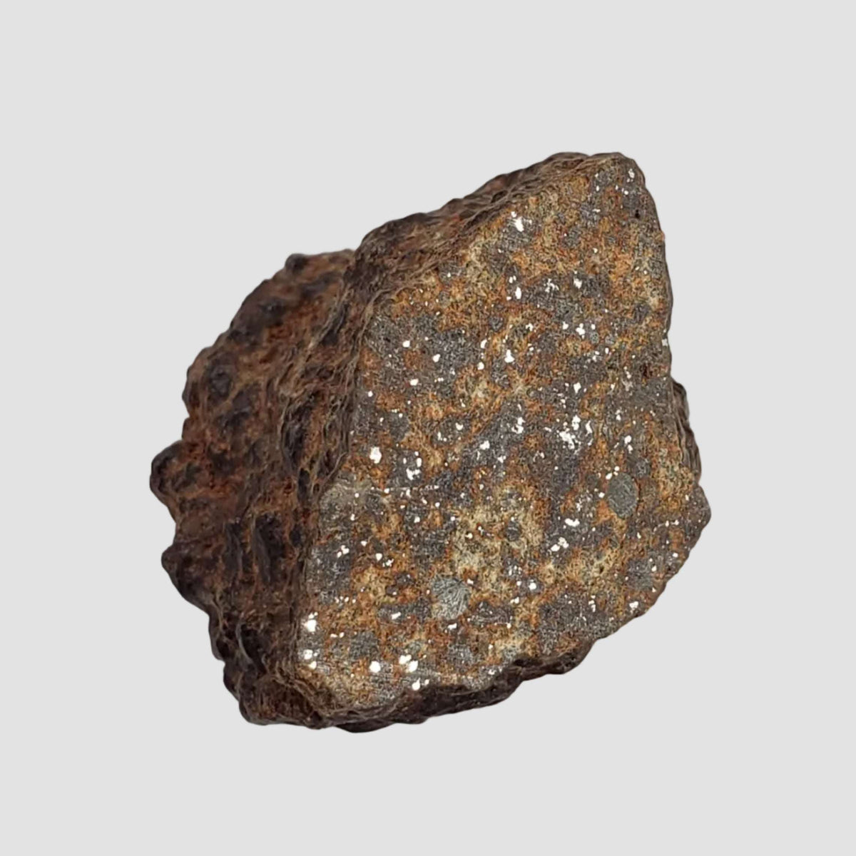  Northwest Africa NWA Meteorite | 45 Grams | End Cut | Sahara 7