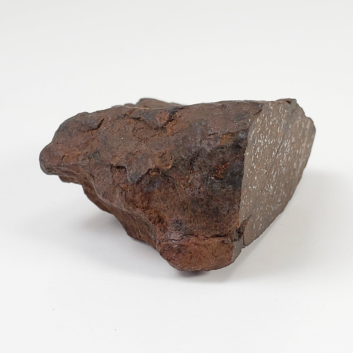  Northwest Africa NWA Meteorite | 45 Grams | End Cut | Sahara | SO24 2