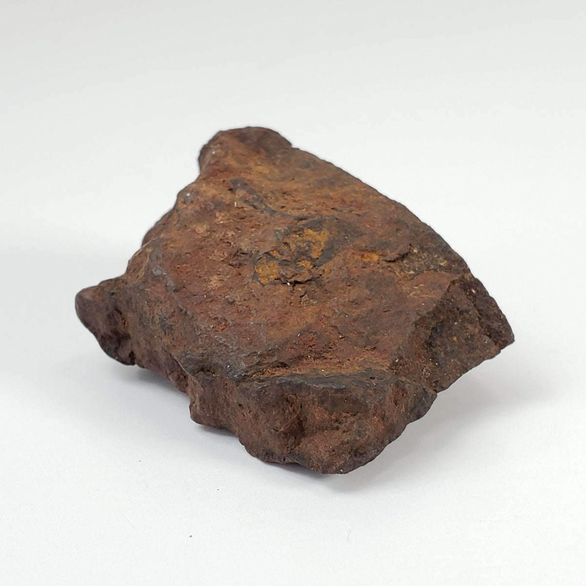  Northwest Africa NWA Meteorite | 45 Grams | End Cut | Sahara | SO24 5