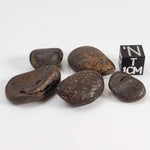 Northwest Africa NWA Meteorite | 5 Piece Lot | 26 Grams | Tumbled Individuals | Sahara 0