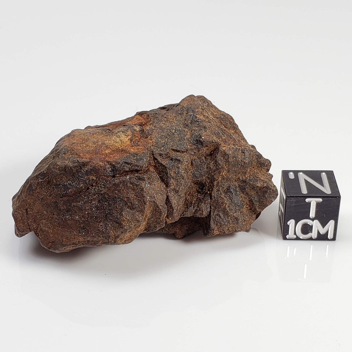 Northwest Africa NWA Meteorite | 51 Grams | Individual Fragment | Sahara 0