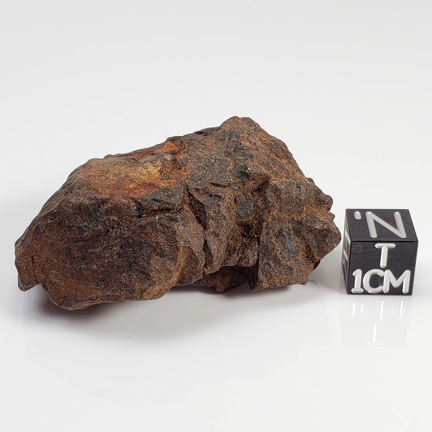 Northwest Africa NWA Meteorite | 51 Grams | Individual Fragment | Sahara 0