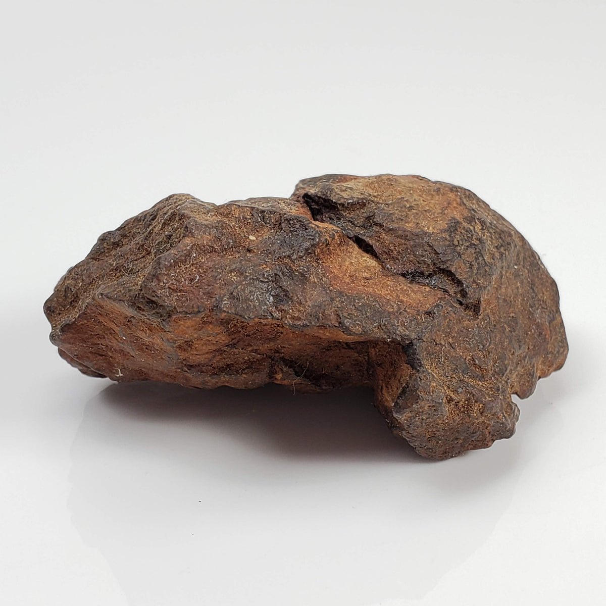 Northwest Africa NWA Meteorite | 51 Grams | Individual Fragment | Sahara 2