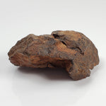 Northwest Africa NWA Meteorite | 51 Grams | Individual Fragment | Sahara 2