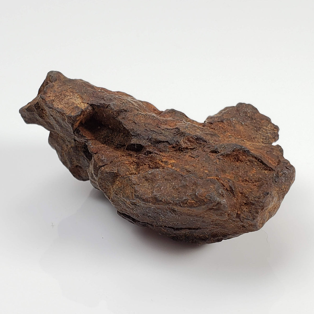 Northwest Africa NWA Meteorite | 51 Grams | Individual Fragment | Sahara 4