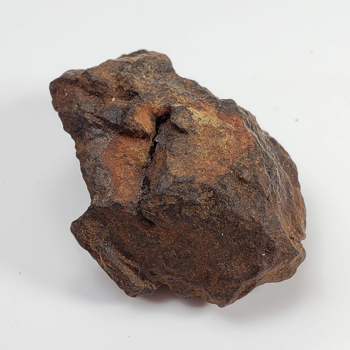 Northwest Africa NWA Meteorite | 51 Grams | Individual Fragment | Sahara 5
