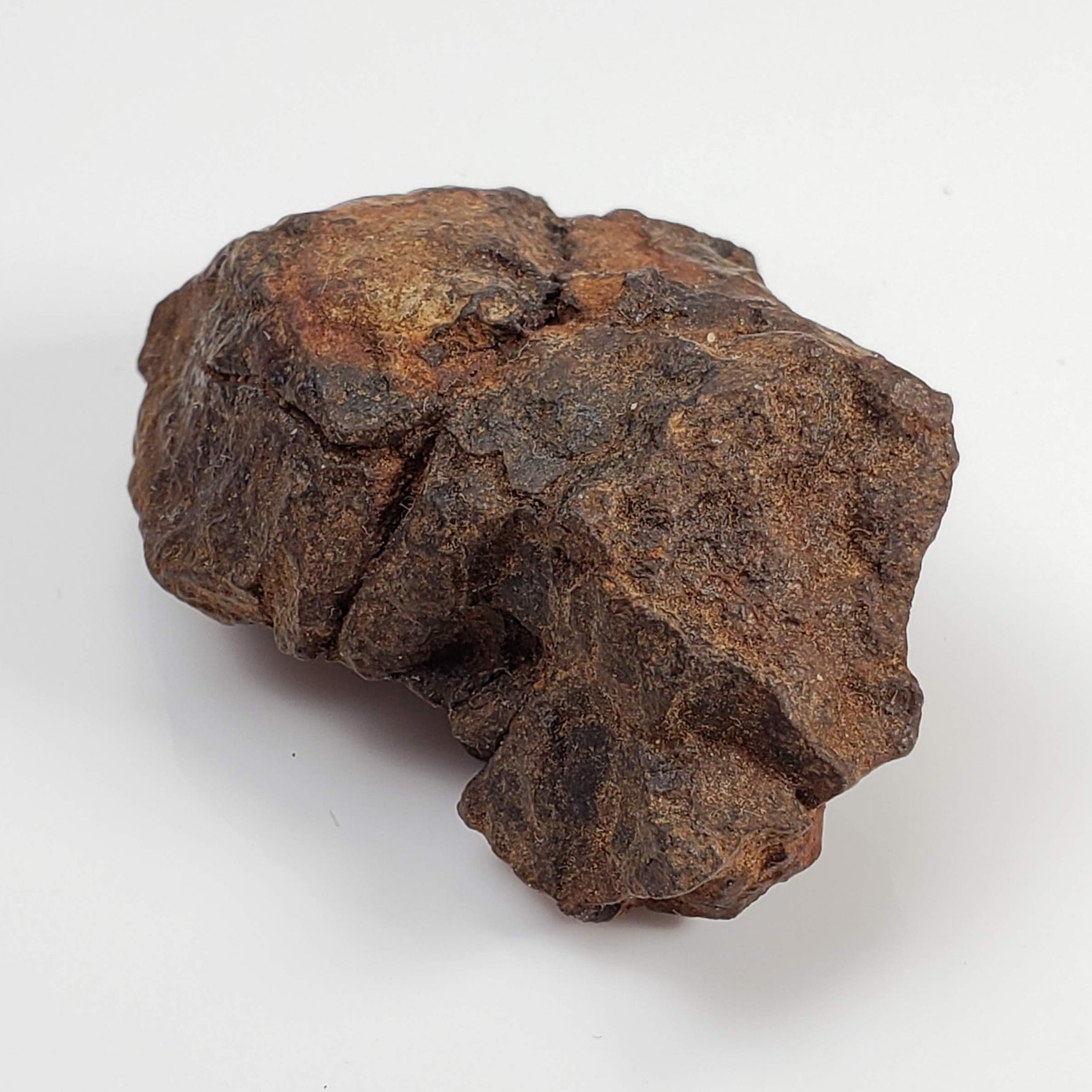 Northwest Africa NWA Meteorite | 51 Grams | Individual Fragment | Sahara 6