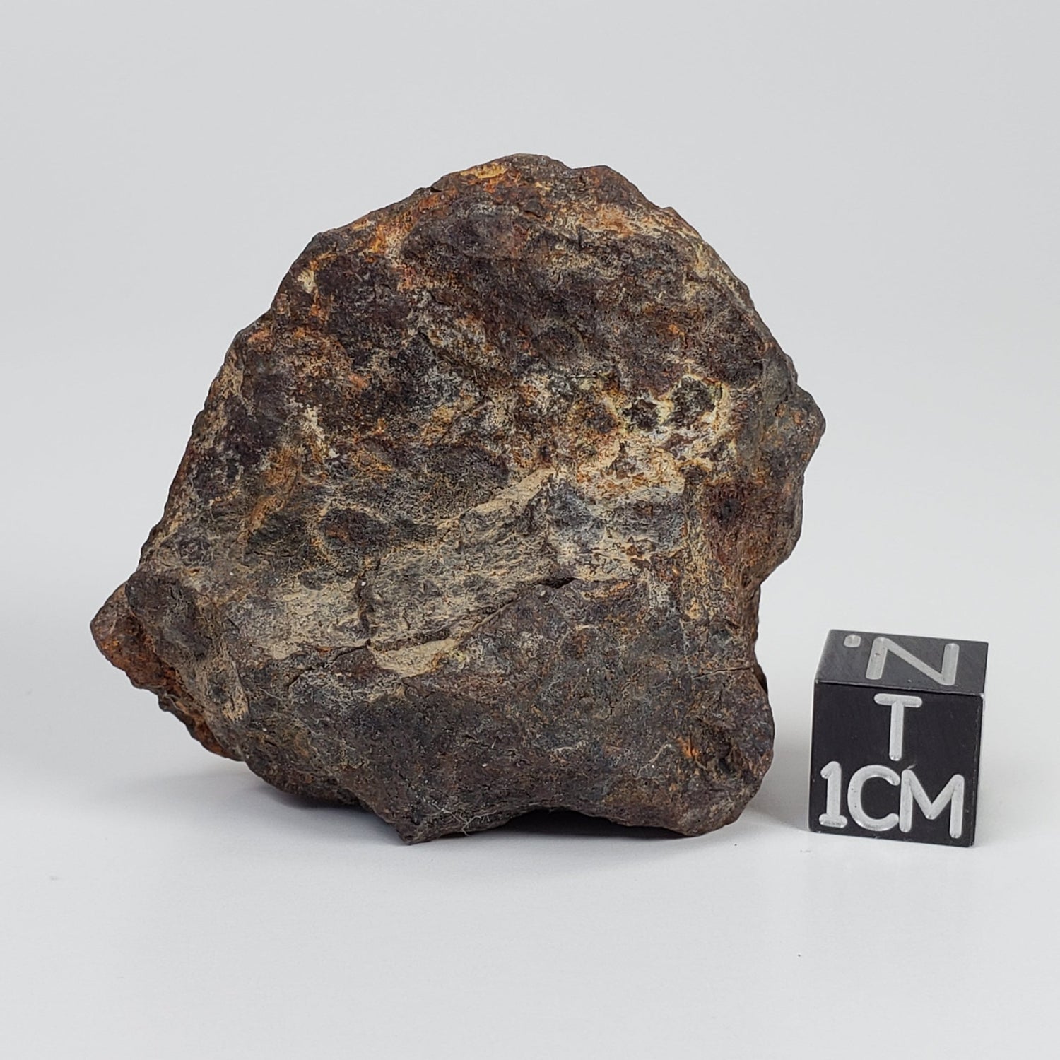  Northwest Africa NWA Meteorite | 52.4 Grams | Individual Fragment | Sahara 