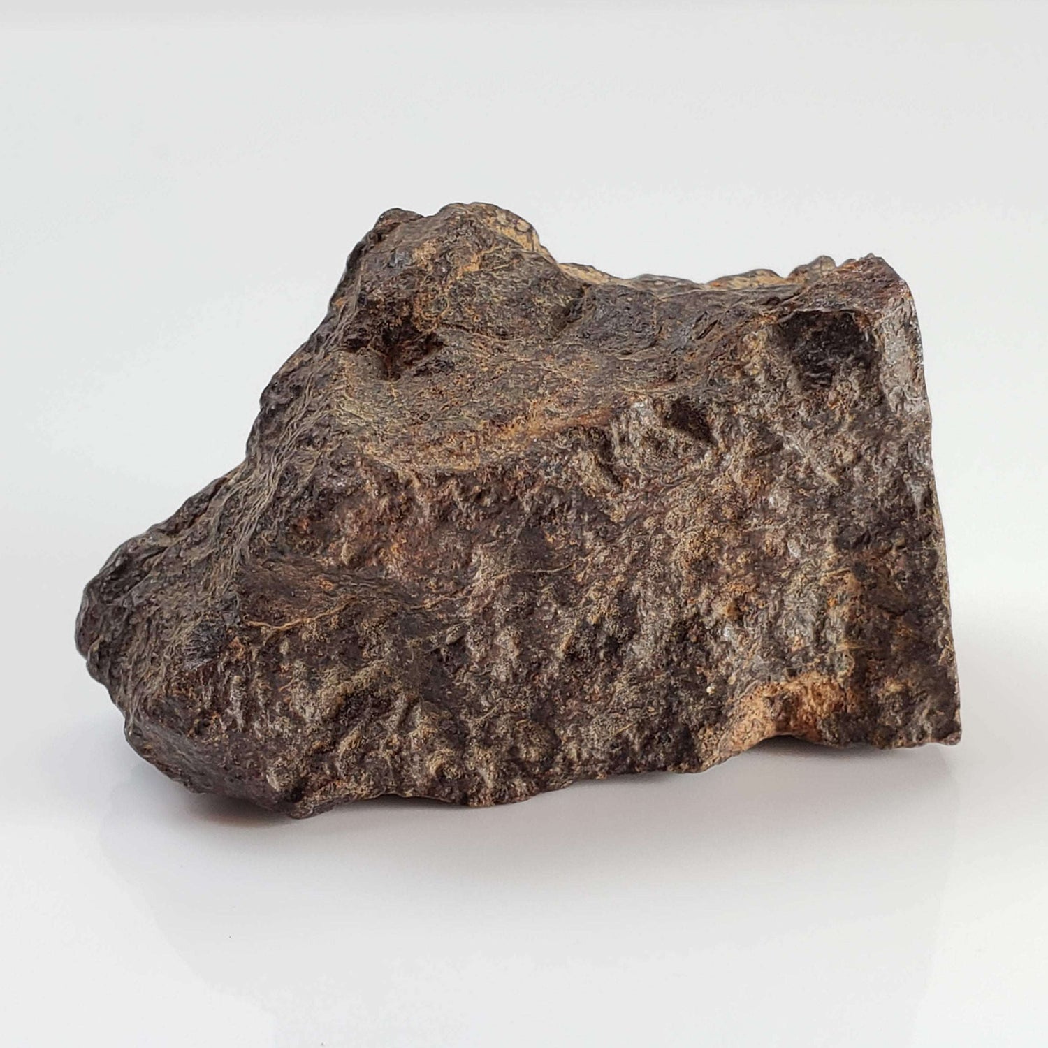  Northwest Africa NWA Meteorite | 53 Grams | End Cut | Sahara 1
