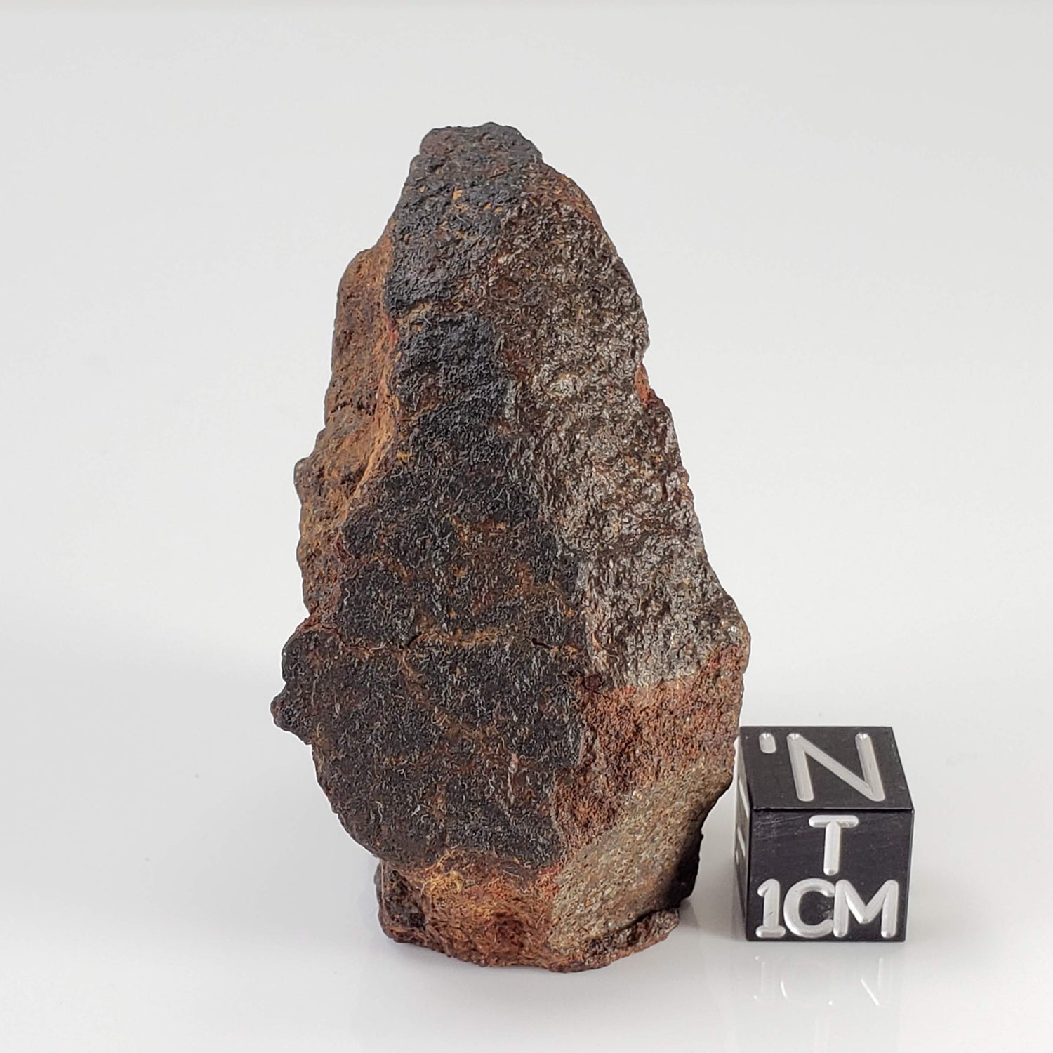  Northwest Africa NWA Meteorite | 55.8 Grams | End Cut | Sahara 