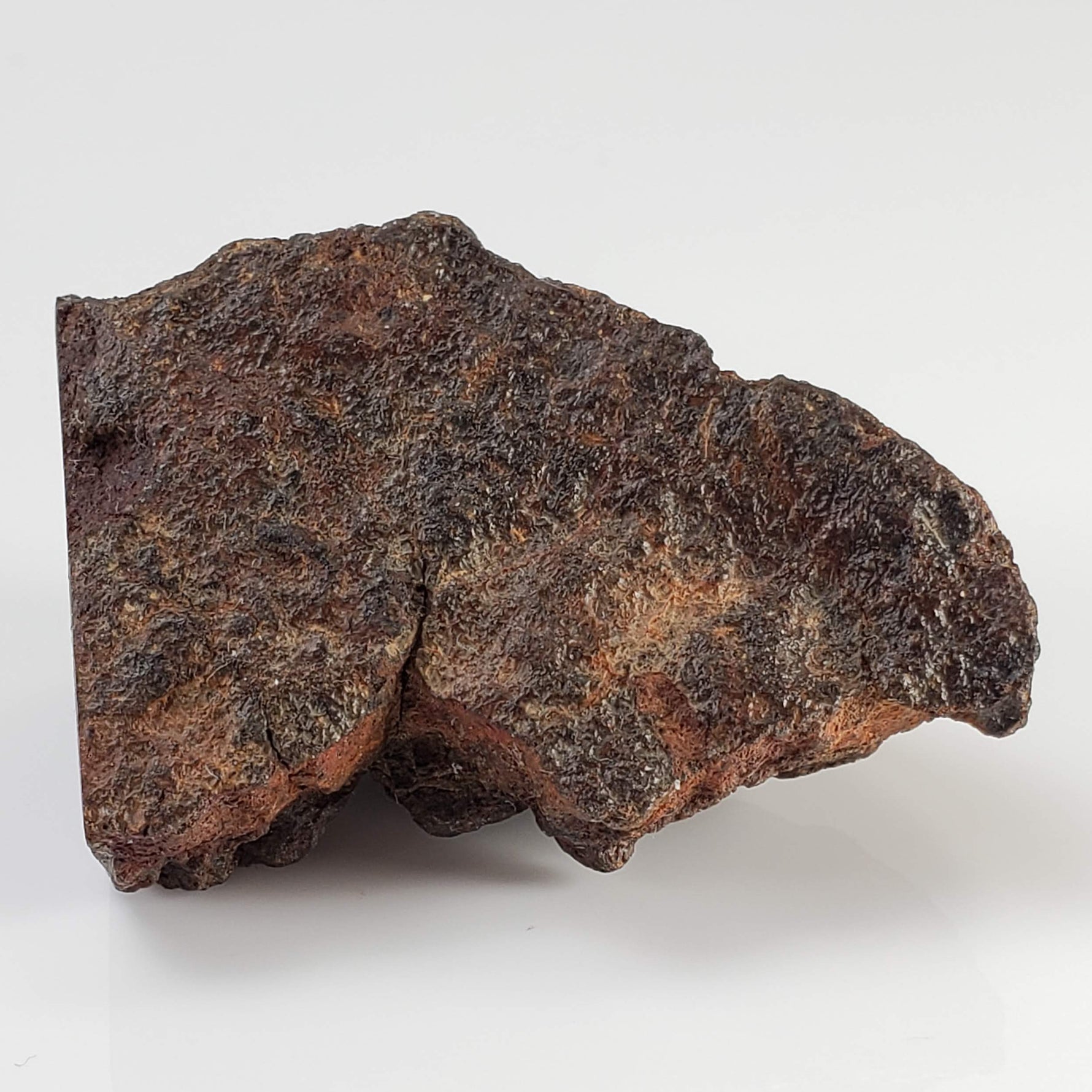  Northwest Africa NWA Meteorite | 55.8 Grams | End Cut | Sahara 5
