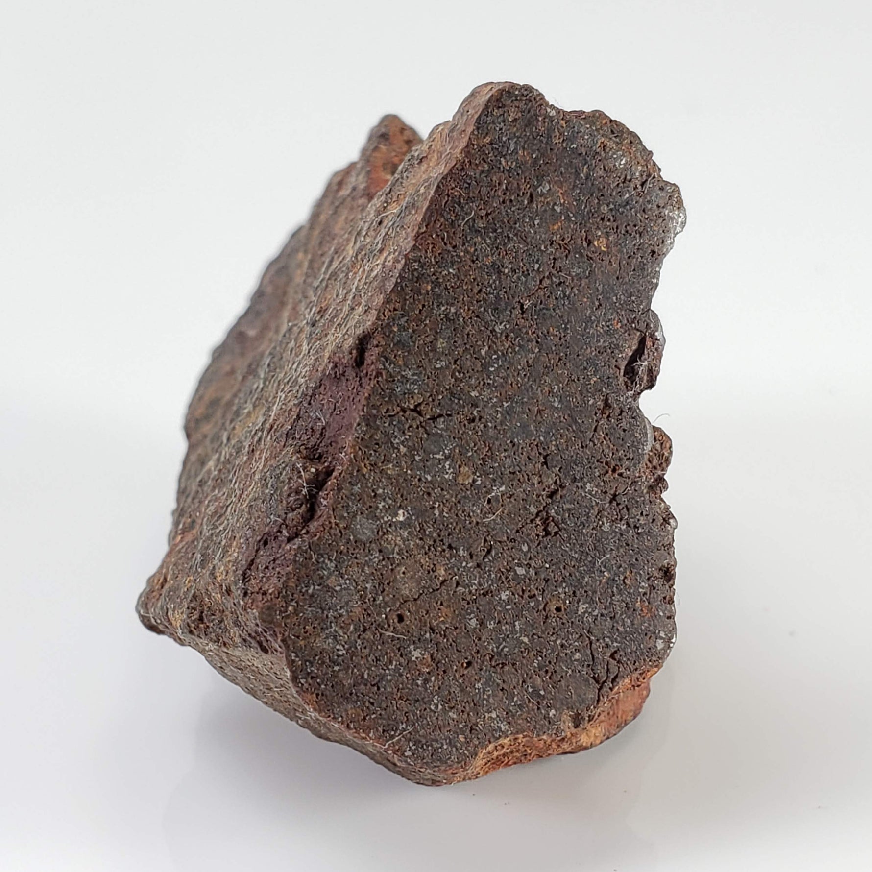  Northwest Africa NWA Meteorite | 55.8 Grams | End Cut | Sahara 6