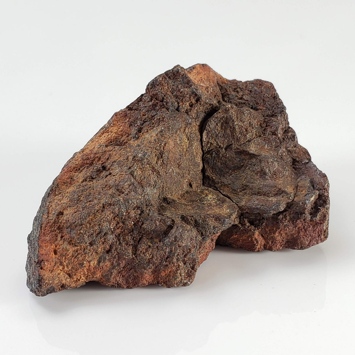  Northwest Africa NWA Meteorite | 55.8 Grams | End Cut | Sahara 7