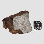Northwest Africa NWA Meteorite | 56.7 Grams | End Cut | Sahara