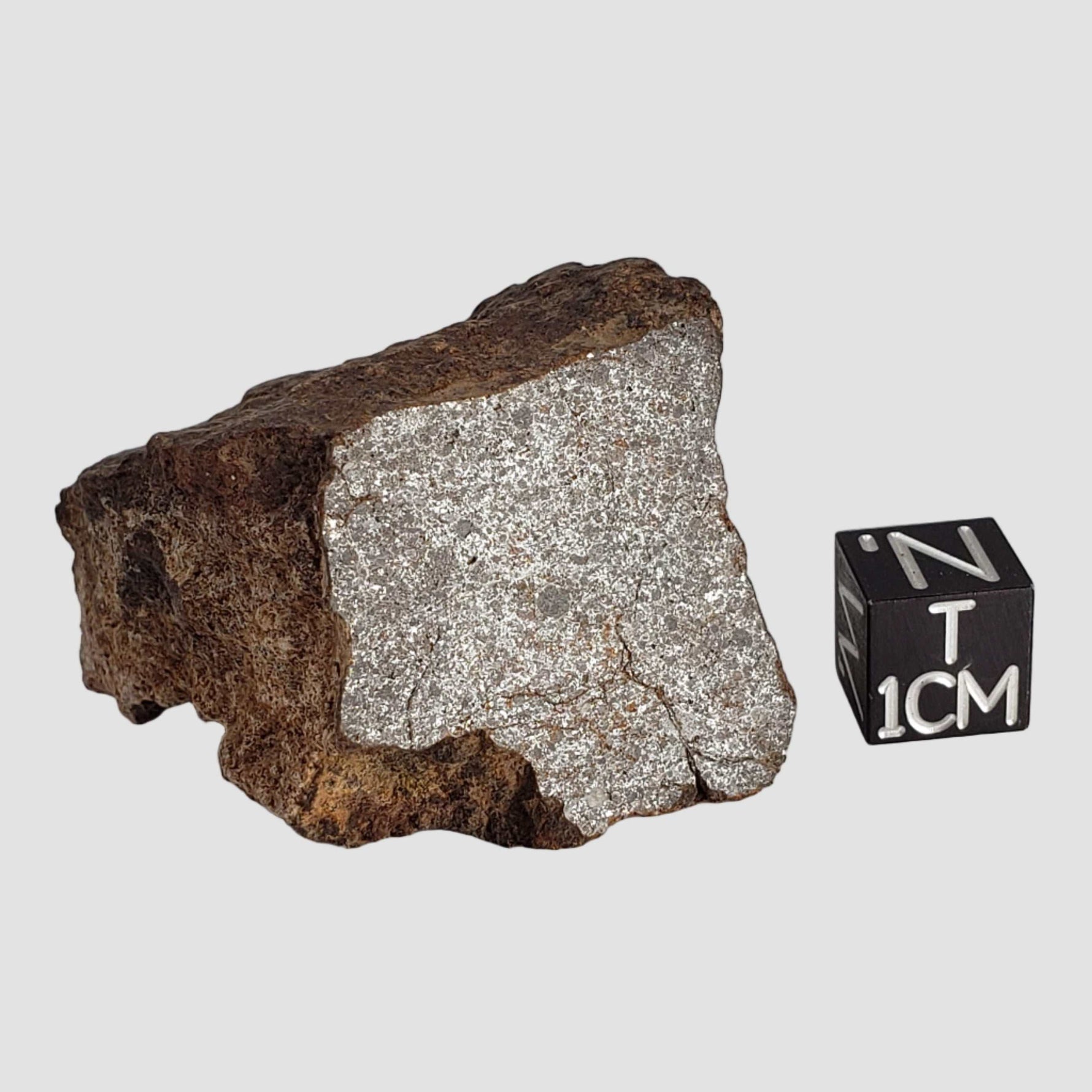 Northwest Africa NWA Meteorite | 56.7 Grams | End Cut | Sahara