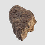 Northwest Africa NWA Meteorite | 56.7 Grams | End Cut | Sahara