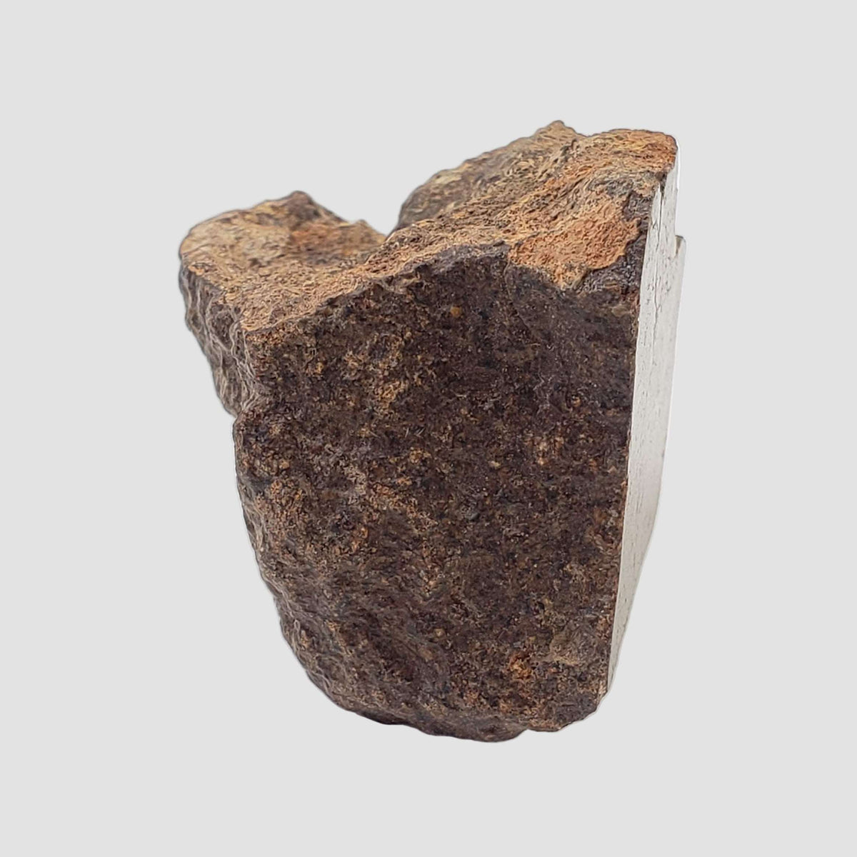 Northwest Africa NWA Meteorite | 56.7 Grams | End Cut | Sahara