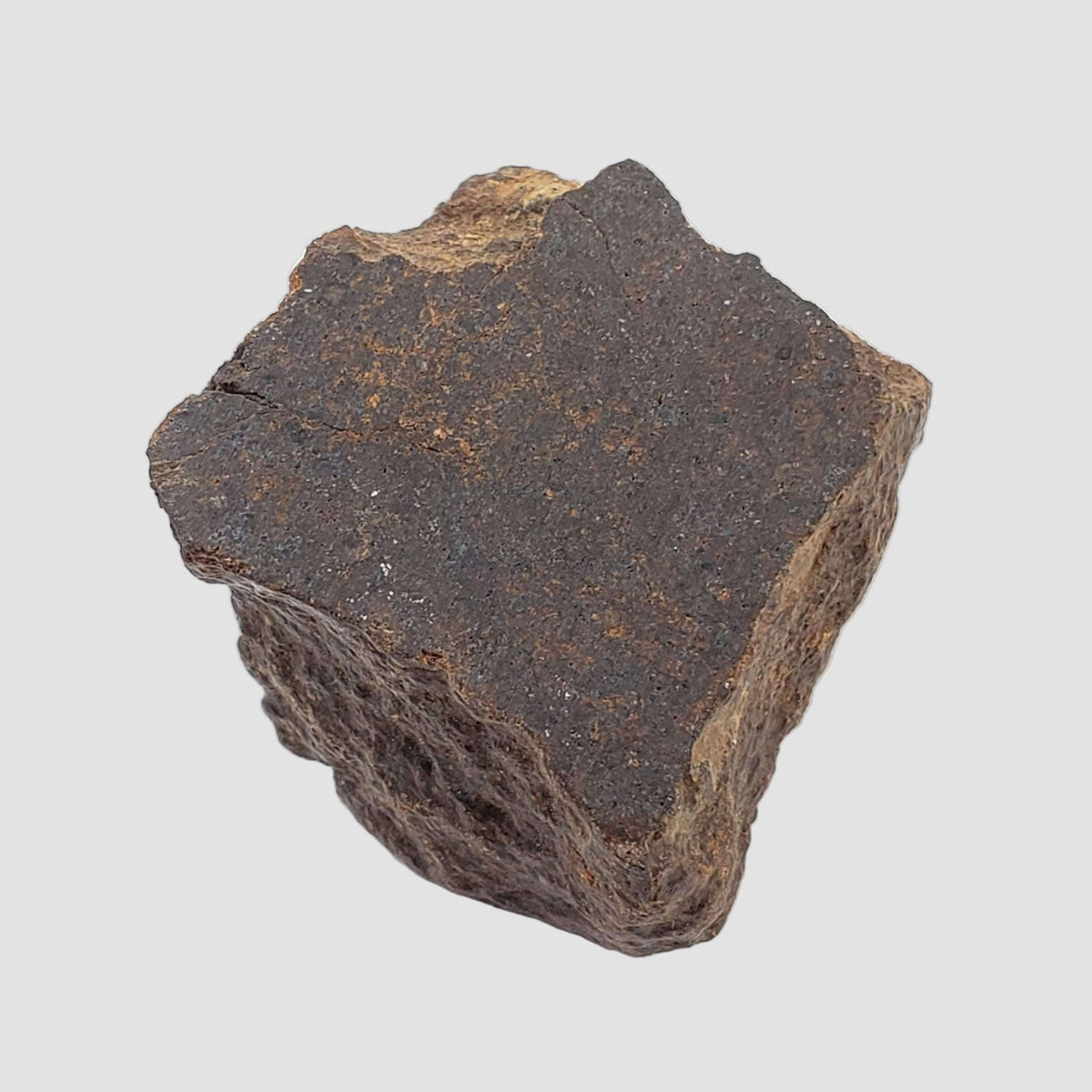 Northwest Africa NWA Meteorite | 56.7 Grams | End Cut | Sahara