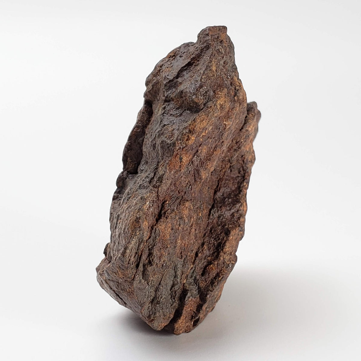  Northwest Africa NWA Meteorite | 57.83 Grams | Individual Fragment | Sahara 2