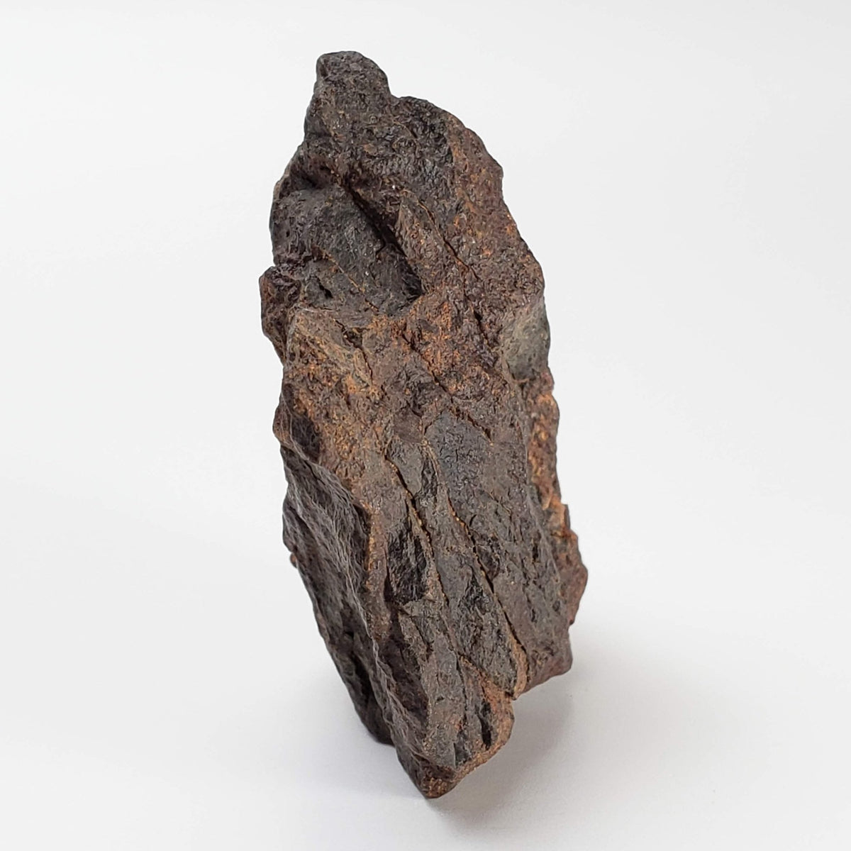  Northwest Africa NWA Meteorite | 57.83 Grams | Individual Fragment | Sahara 3