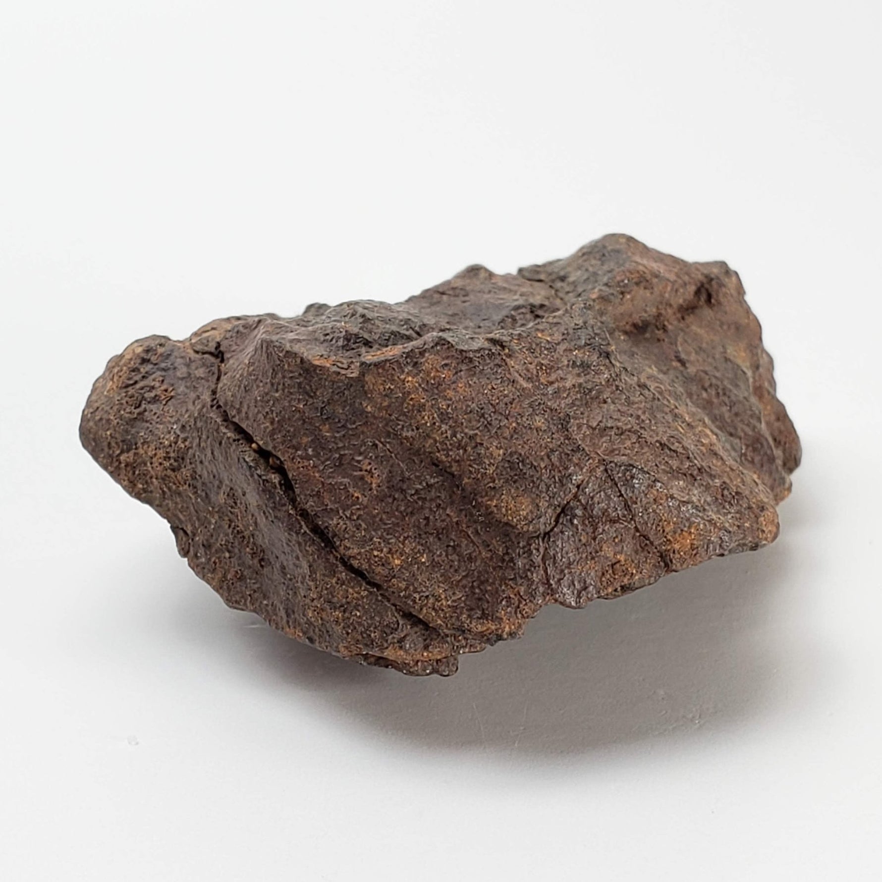  Northwest Africa NWA Meteorite | 57.83 Grams | Individual Fragment | Sahara 4
