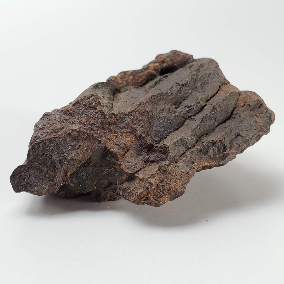  Northwest Africa NWA Meteorite | 57.83 Grams | Individual Fragment | Sahara 5