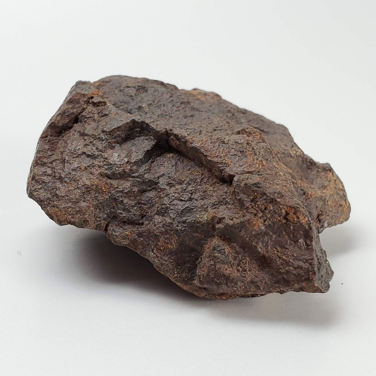  Northwest Africa NWA Meteorite | 57.83 Grams | Individual Fragment | Sahara 6