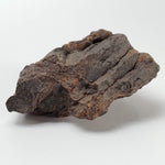  Northwest Africa NWA Meteorite | 57.83 Grams | Individual Fragment | Sahara 5