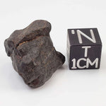 Northwest Africa NWA Meteorite | 6.3 Grams | Individual Fragment | Sahara