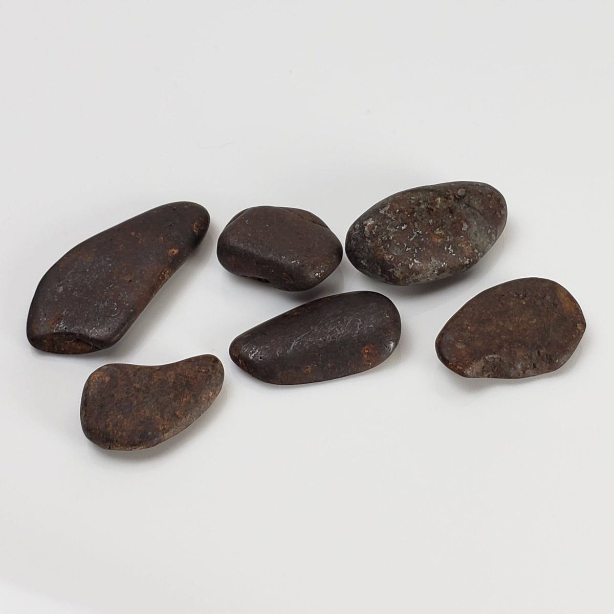  Northwest Africa NWA Meteorite | 6 Piece Lot | 11.7 Grams | Tumbled Individual Meteorites | Sahara 1