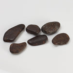  Northwest Africa NWA Meteorite | 6 Piece Lot | 11.7 Grams | Tumbled Individual Meteorites | Sahara 1