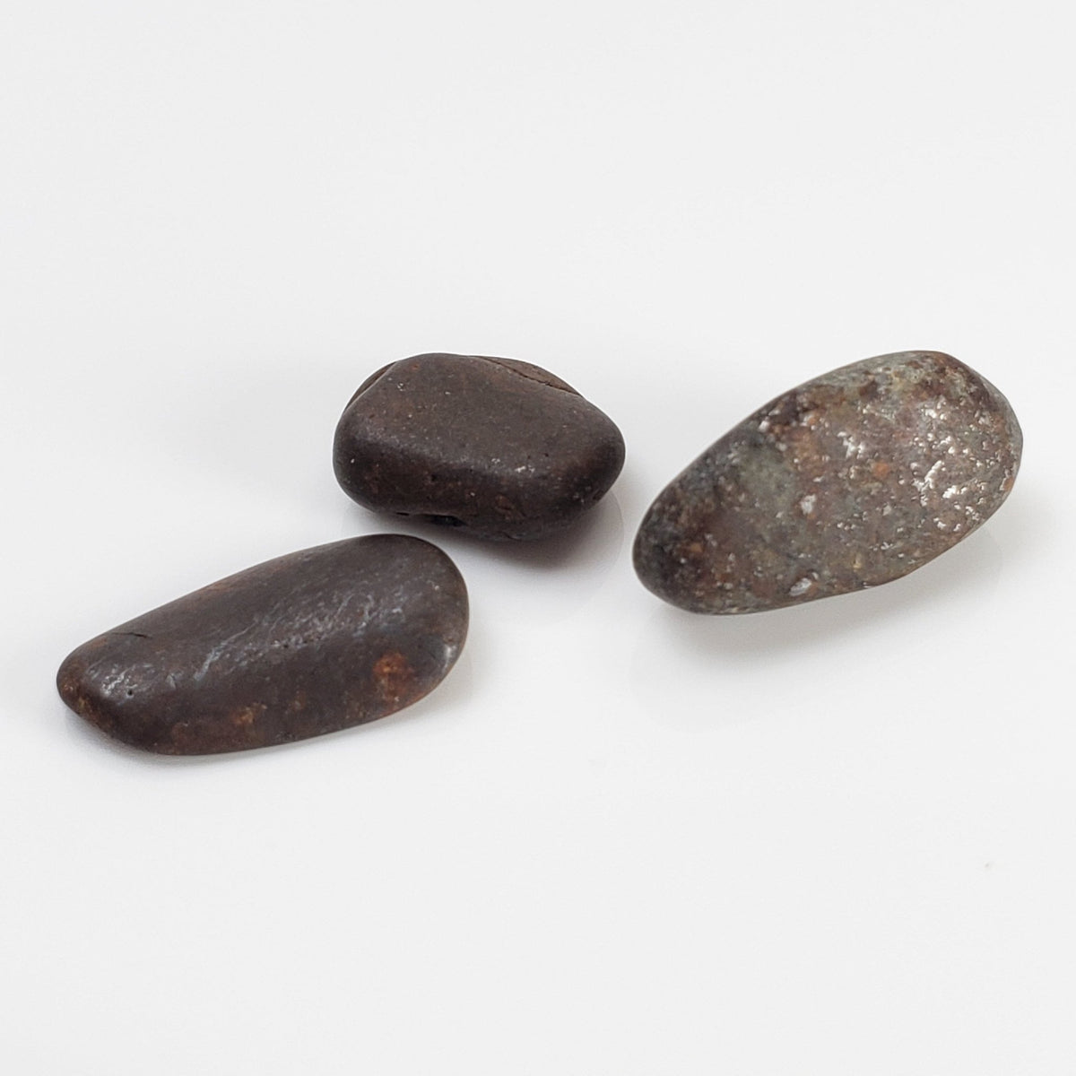  Northwest Africa NWA Meteorite | 6 Piece Lot | 11.7 Grams | Tumbled Individual Meteorites | Sahara 2