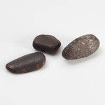  Northwest Africa NWA Meteorite | 6 Piece Lot | 11.7 Grams | Tumbled Individual Meteorites | Sahara 2