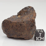 Northwest Africa NWA Meteorite | 60.5 Grams | Individual Fragment | Sahara 0