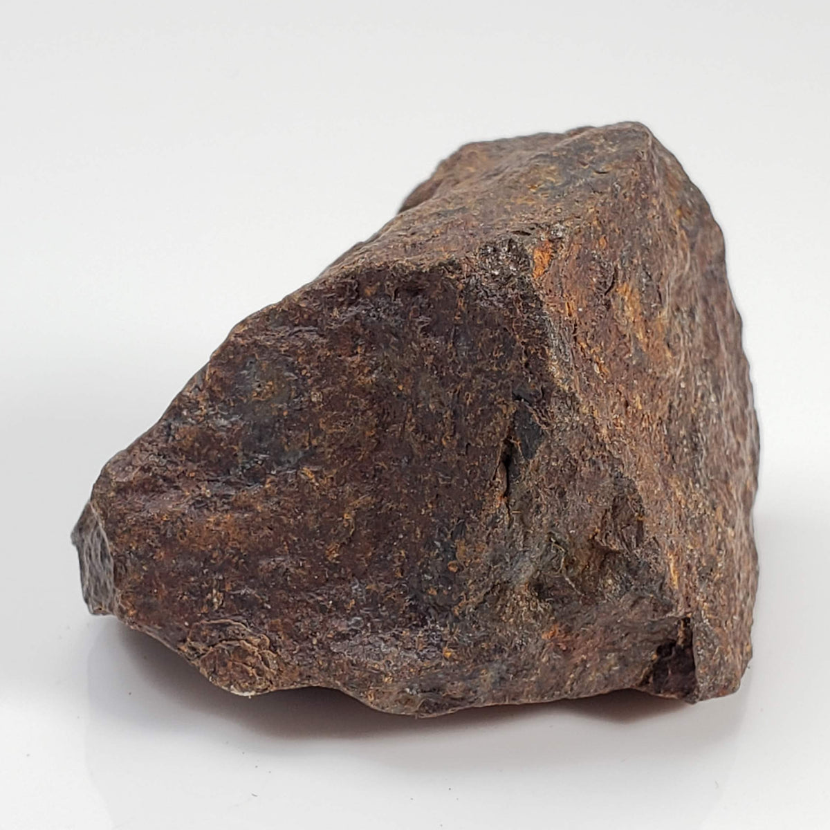 Northwest Africa NWA Meteorite | 60.5 Grams | Individual Fragment | Sahara 3