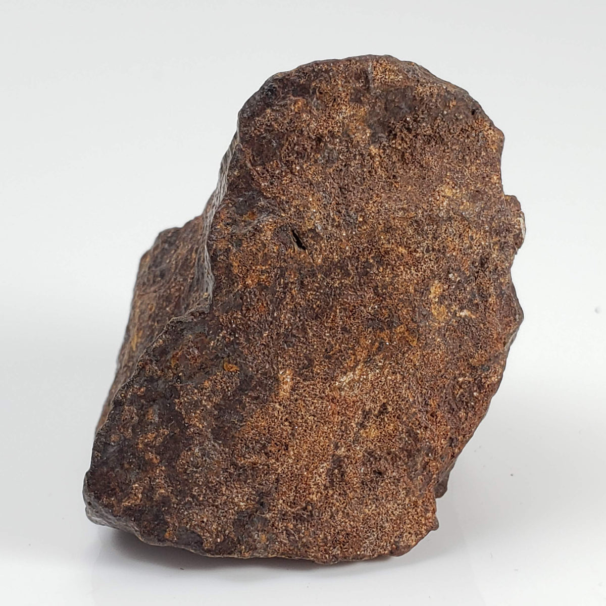 Northwest Africa NWA Meteorite | 60.5 Grams | Individual Fragment | Sahara 4