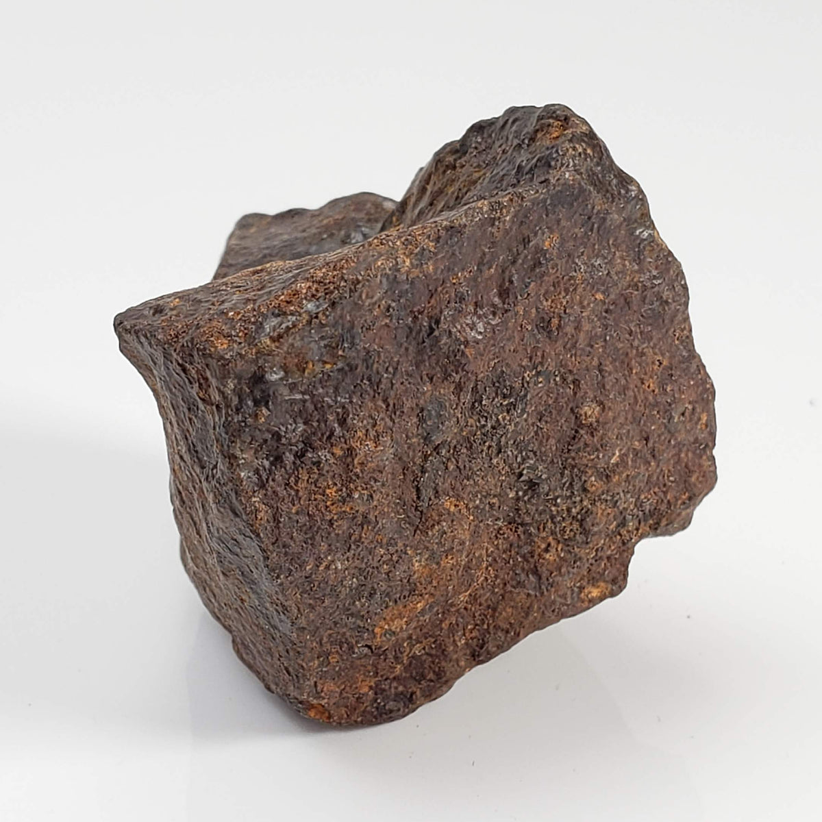 Northwest Africa NWA Meteorite | 60.5 Grams | Individual Fragment | Sahara 6