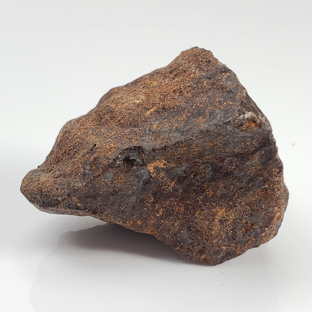 Northwest Africa NWA Meteorite | 60.5 Grams | Individual Fragment | Sahara 2