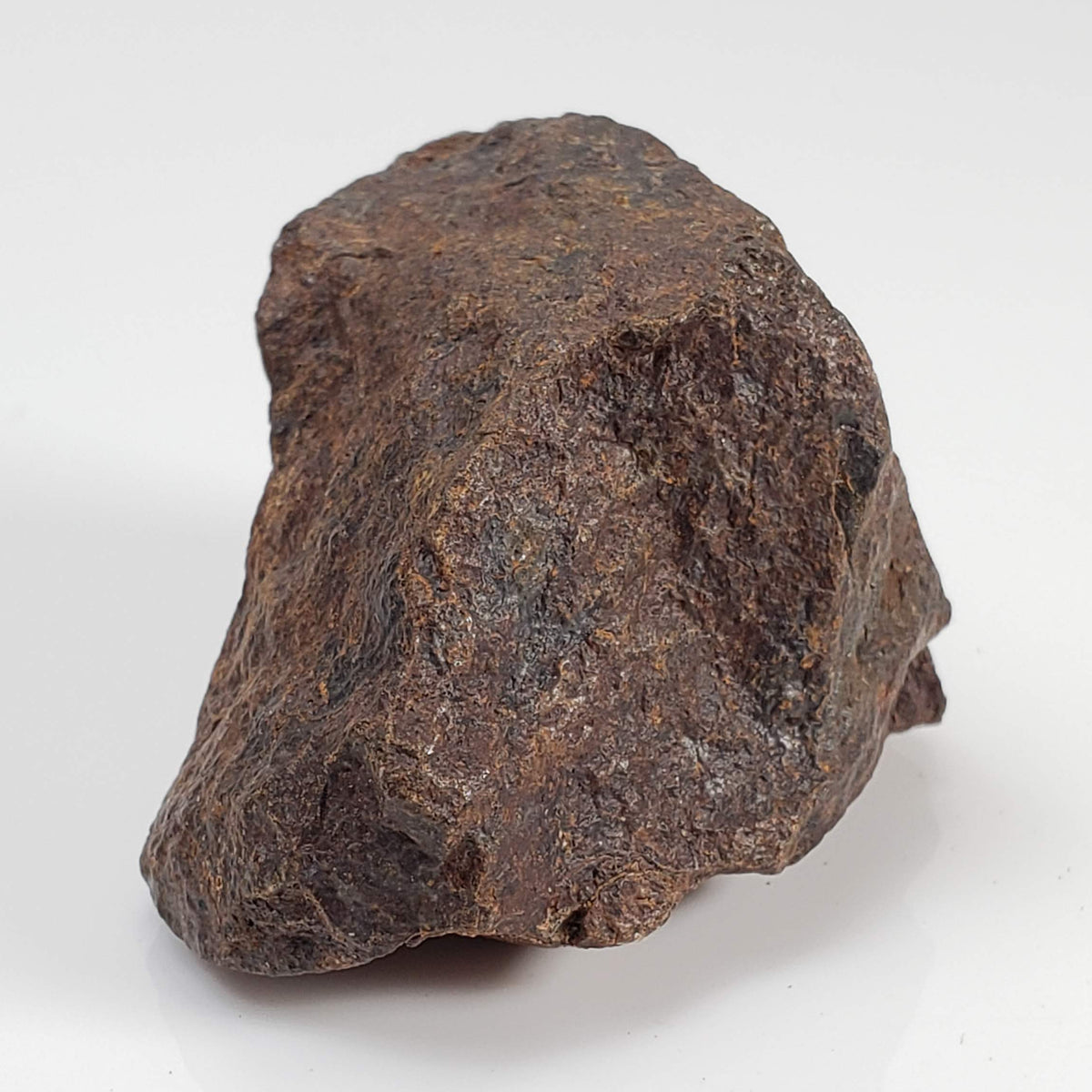 Northwest Africa NWA Meteorite | 60.5 Grams | Individual Fragment | Sahara 8