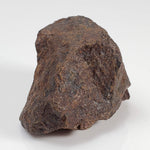 Northwest Africa NWA Meteorite | 60.5 Grams | Individual Fragment | Sahara 8