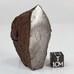  Northwest Africa NWA Meteorite | 64.5 Grams | End Cut | Sahara 