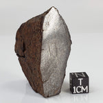  Northwest Africa NWA Meteorite | 64.5 Grams | End Cut | Sahara 