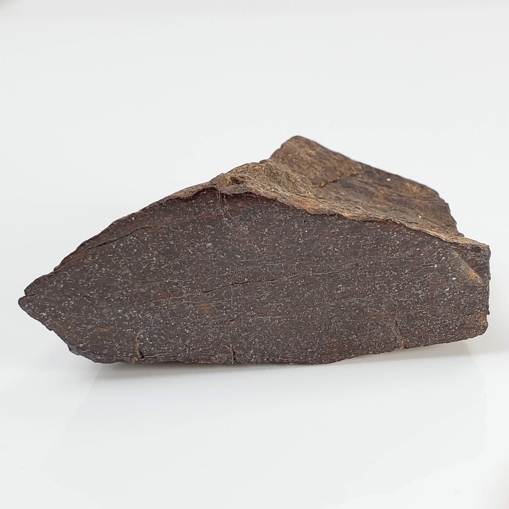  Northwest Africa NWA Meteorite | 64.5 Grams | End Cut | Sahara 1