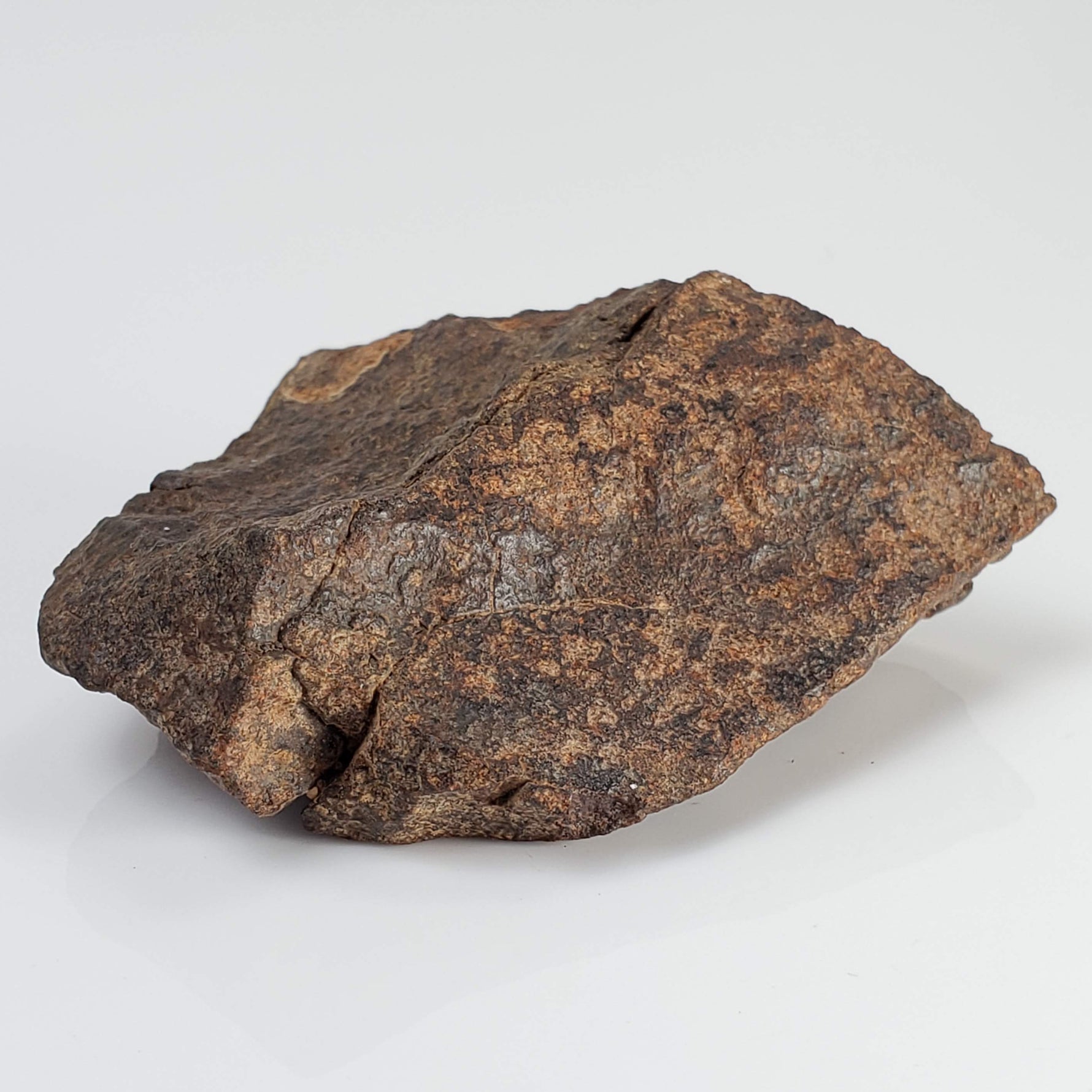  Northwest Africa NWA Meteorite | 64.5 Grams | End Cut | Sahara 4