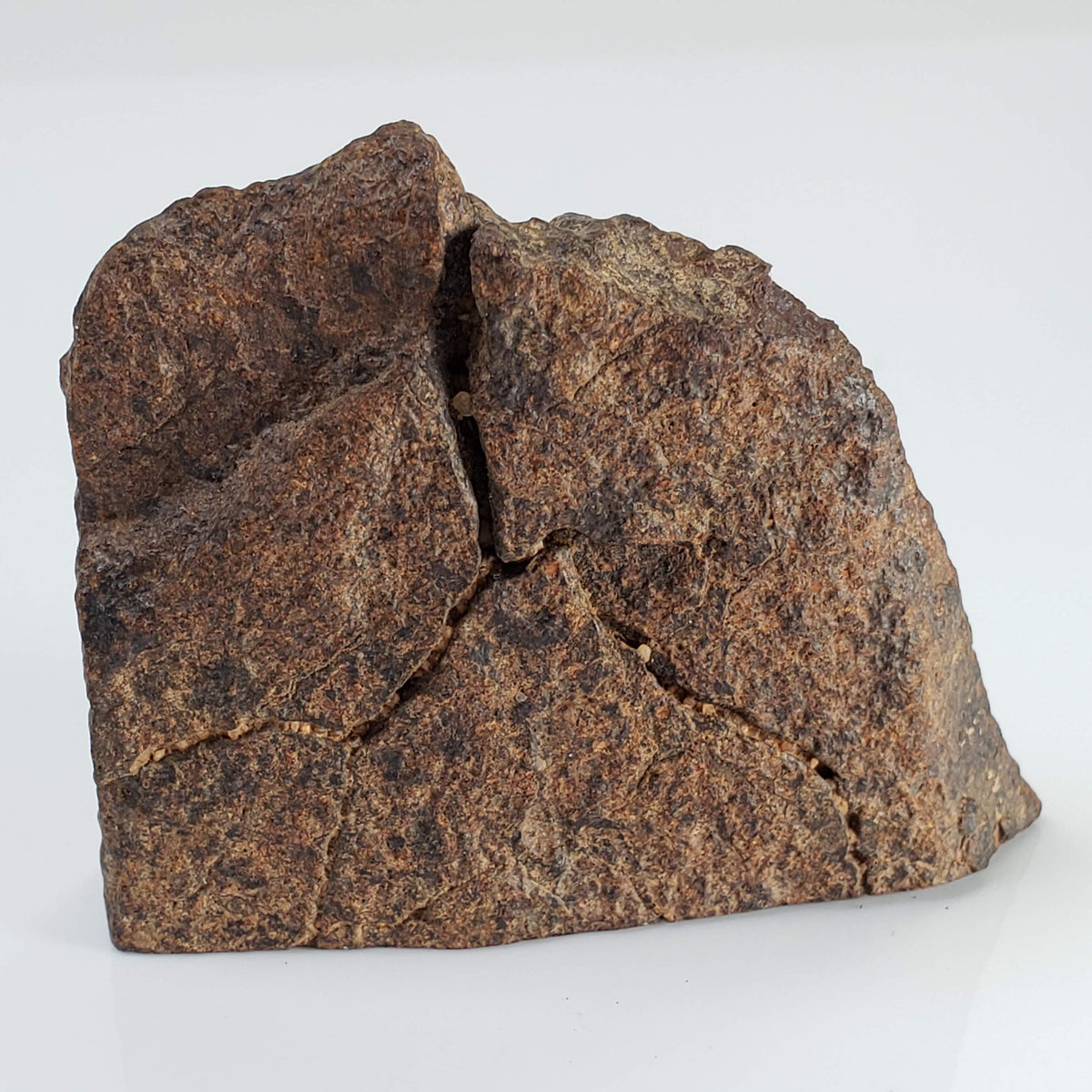  Northwest Africa NWA Meteorite | 64.5 Grams | End Cut | Sahara 5