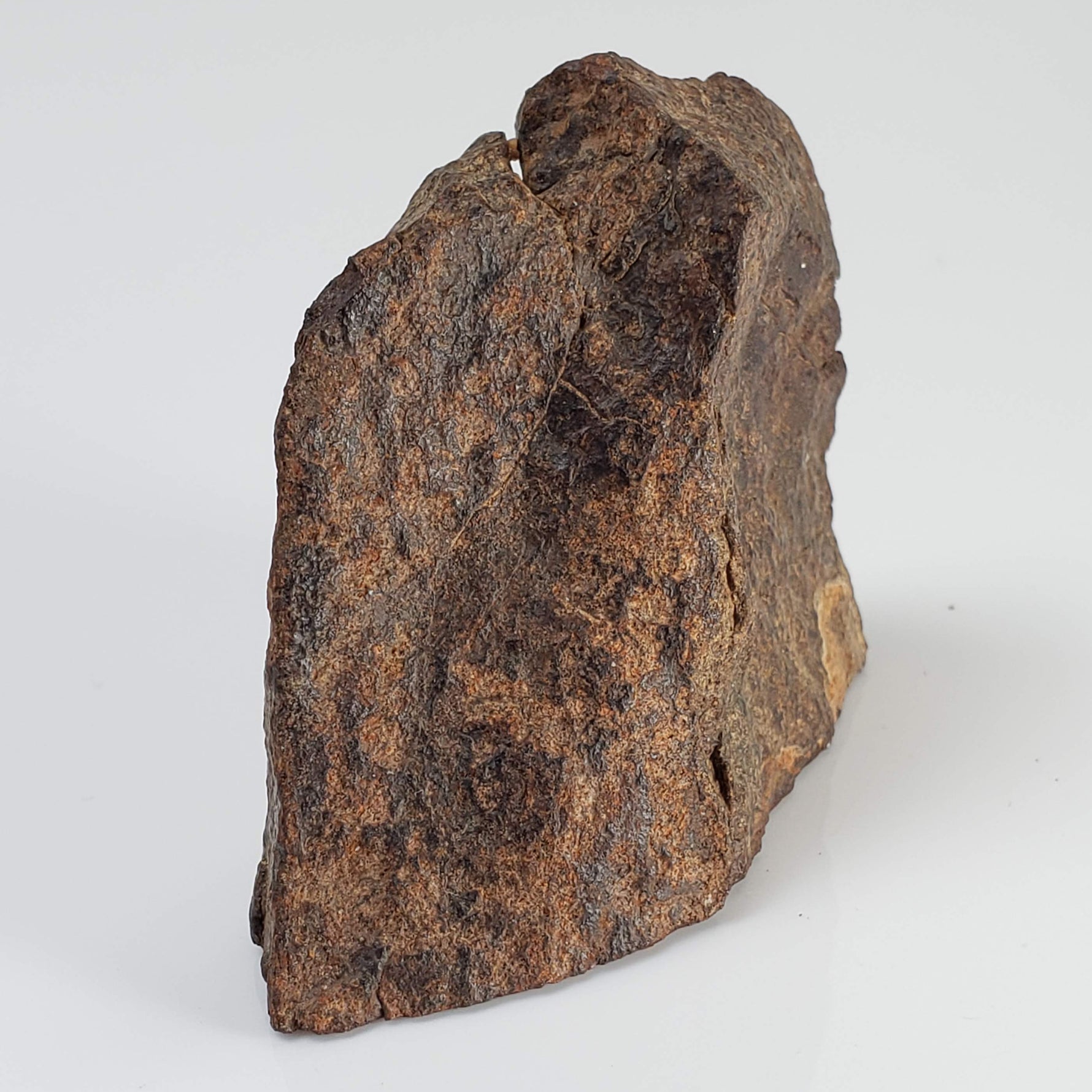  Northwest Africa NWA Meteorite | 64.5 Grams | End Cut | Sahara 2