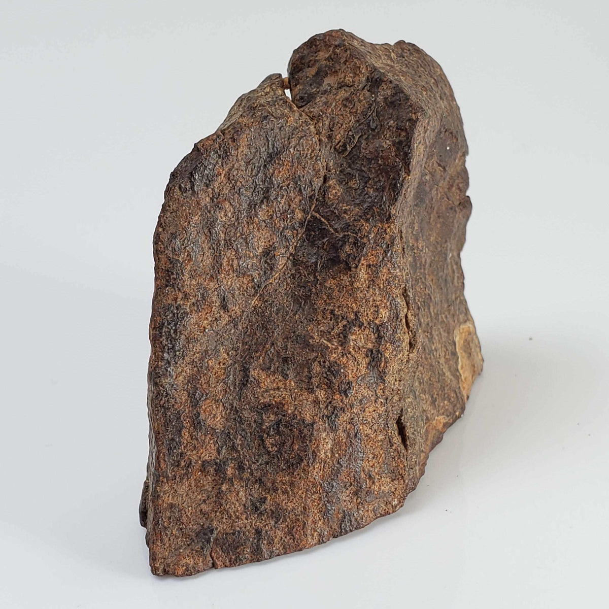  Northwest Africa NWA Meteorite | 64.5 Grams | End Cut | Sahara 2