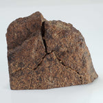  Northwest Africa NWA Meteorite | 64.5 Grams | End Cut | Sahara 5